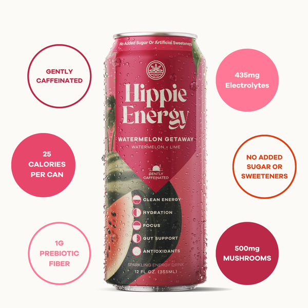 Hippie Energy Variety Pack