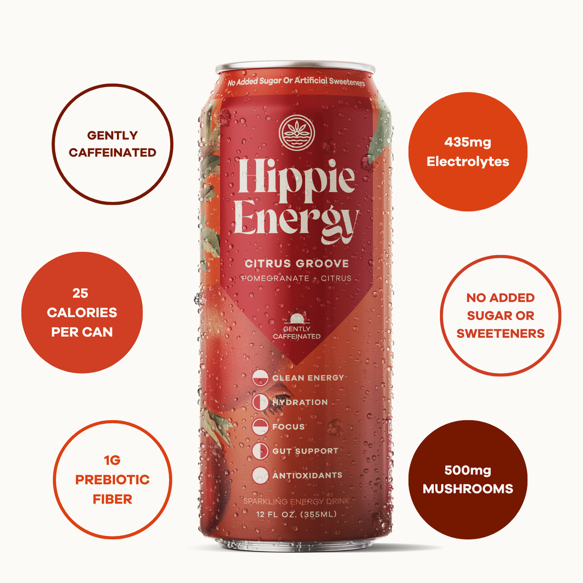 Hippie Energy Variety Pack