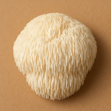 100mg Lion's Mane